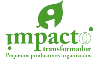 impacto transformador